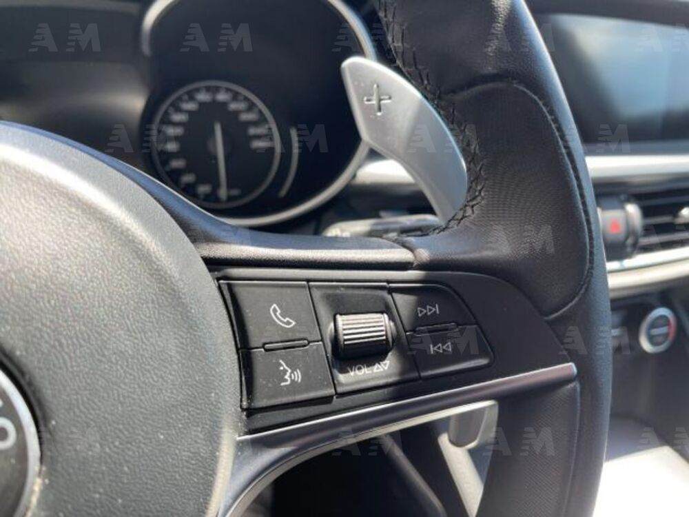 Alfa Romeo Stelvio Stelvio 2.2 Turbodiesel 210 CV AT8 Q4 B-Tech (18)