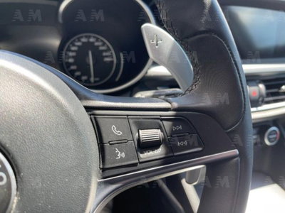 Alfa Romeo Stelvio Stelvio 2.2 Turbodiesel 210 CV AT8 Q4 B-Tech (18)