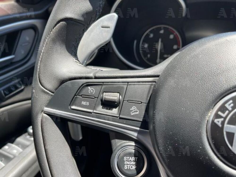 Alfa Romeo Stelvio Stelvio 2.2 Turbodiesel 210 CV AT8 Q4 B-Tech (19)