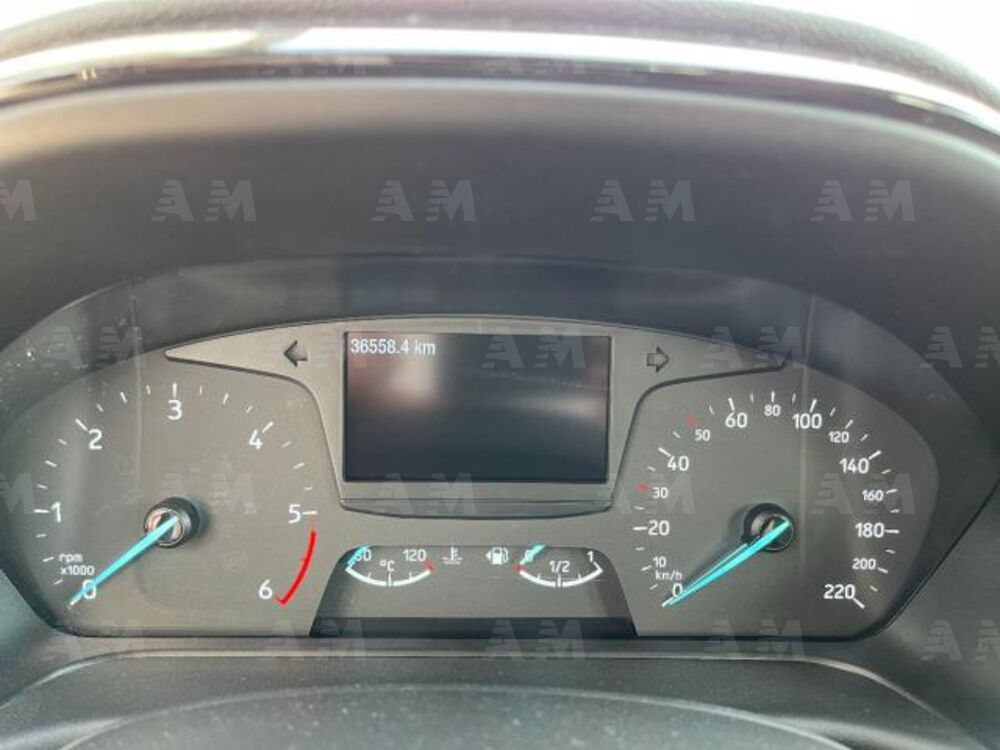 Ford Fiesta 1.5 EcoBlue 5 porte Business High (11)