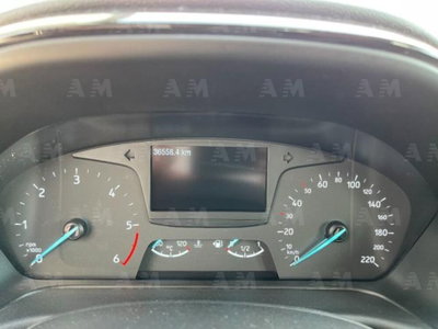 Ford Fiesta 1.5 EcoBlue 5 porte Business High (11)