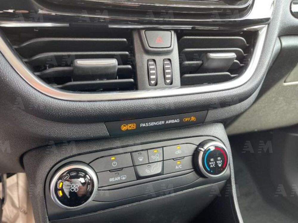 Ford Fiesta 1.5 EcoBlue 5 porte Business High (12)