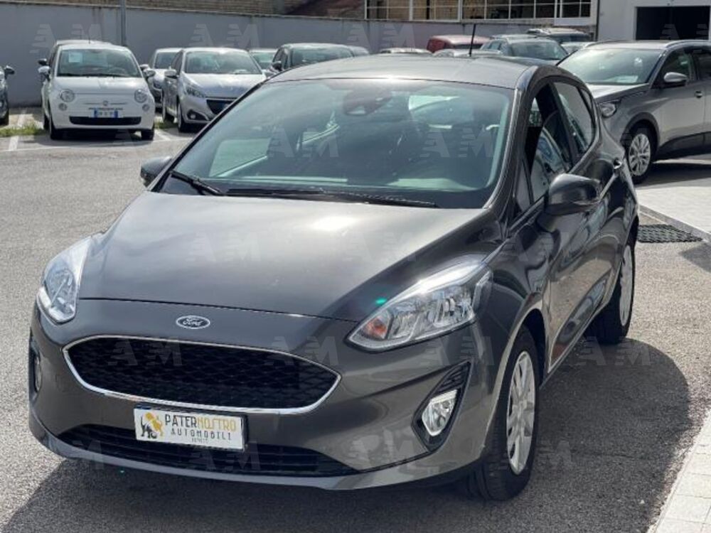 Ford Fiesta 1.5 EcoBlue 5 porte Business High (3)