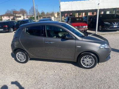 Lancia Ypsilon 1.2 69 CV 5 porte Platinum (4)