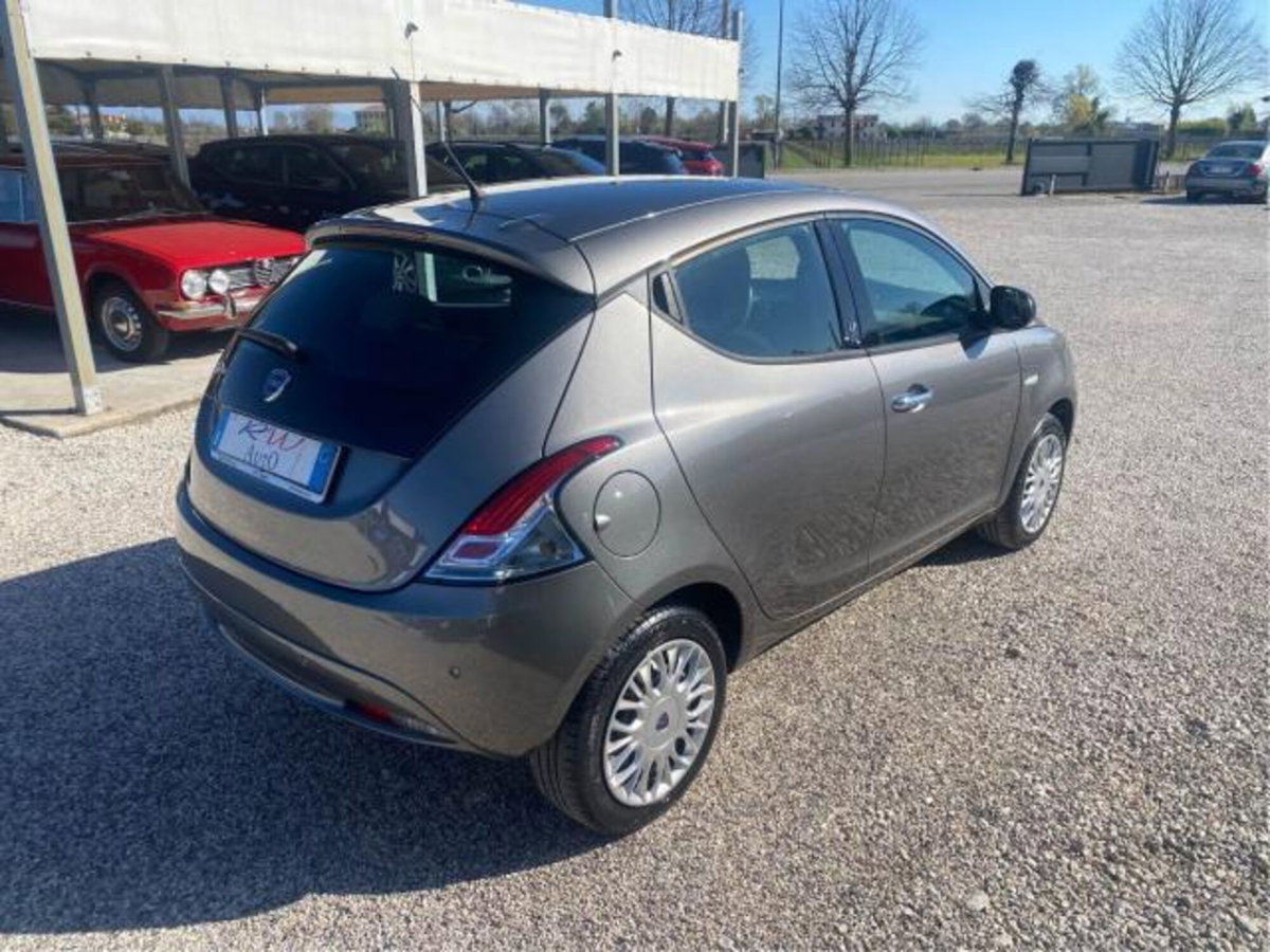 Lancia Ypsilon 1.2 69 CV 5 porte Platinum (5)
