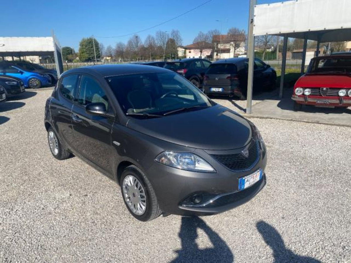Lancia Ypsilon 1.2 69 CV 5 porte Platinum (7)