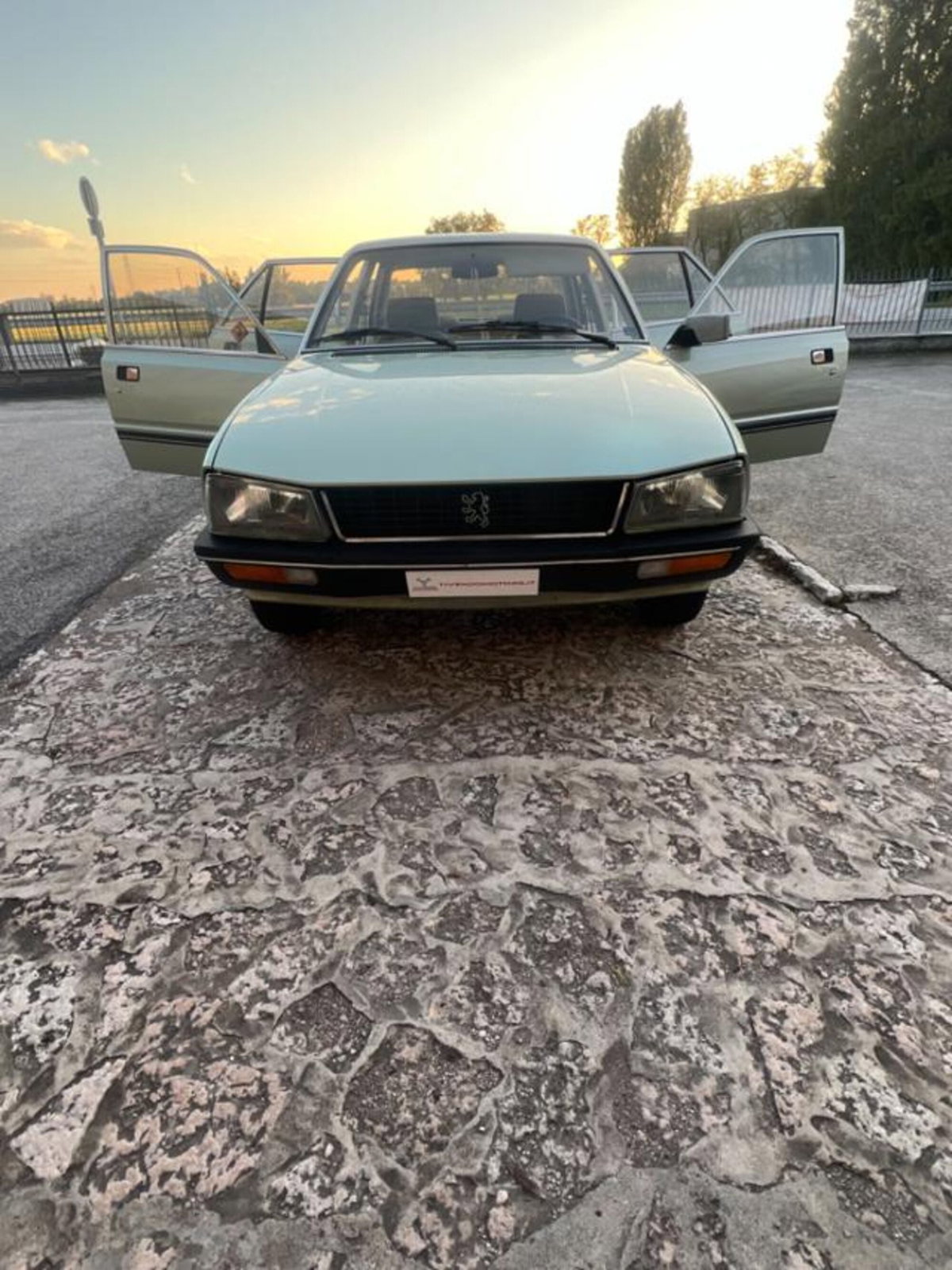 Peugeot 505 TI (3)