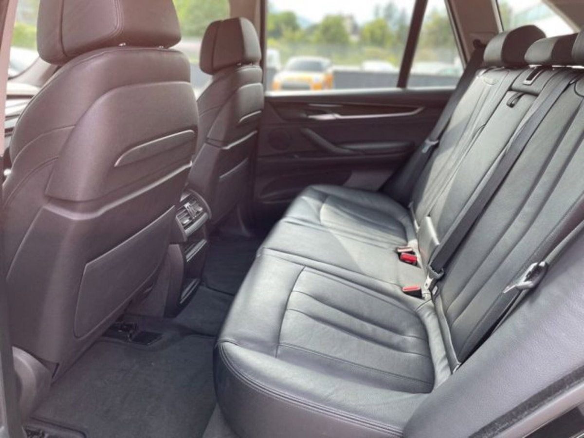 BMW X5 xDrive25d Luxury (11)