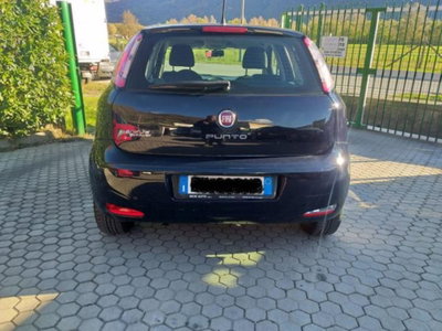 Fiat Punto 1.4 8V 5 porte Natural Power Virgin Radio (5)
