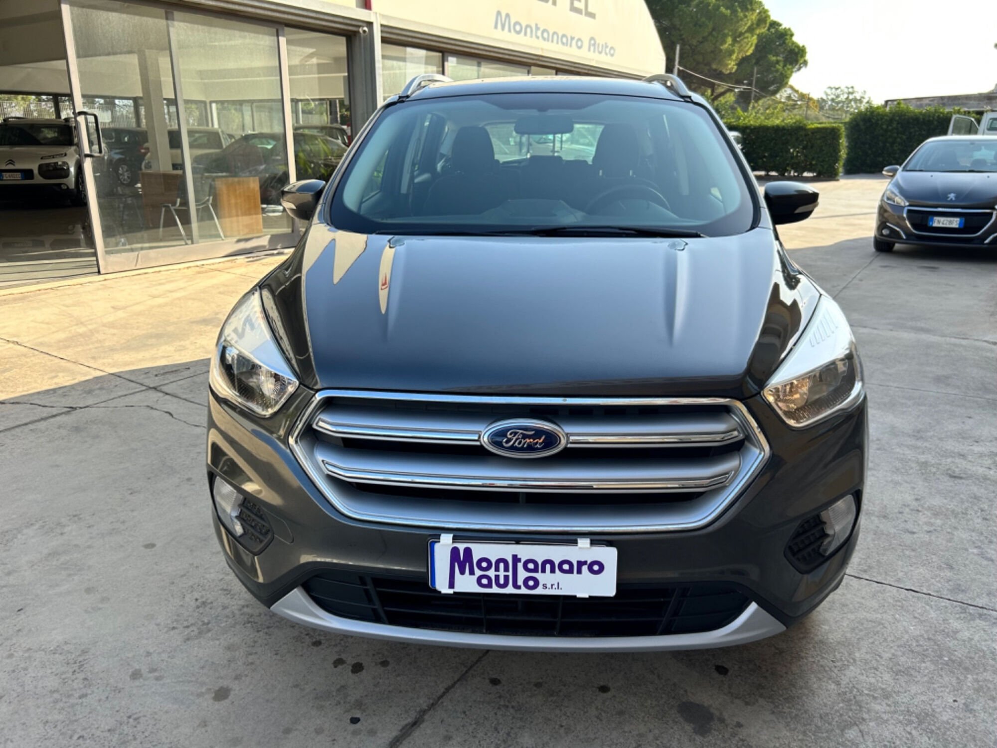 Ford Kuga 1.5 TDCI 120 CV S&S 2WD Business 