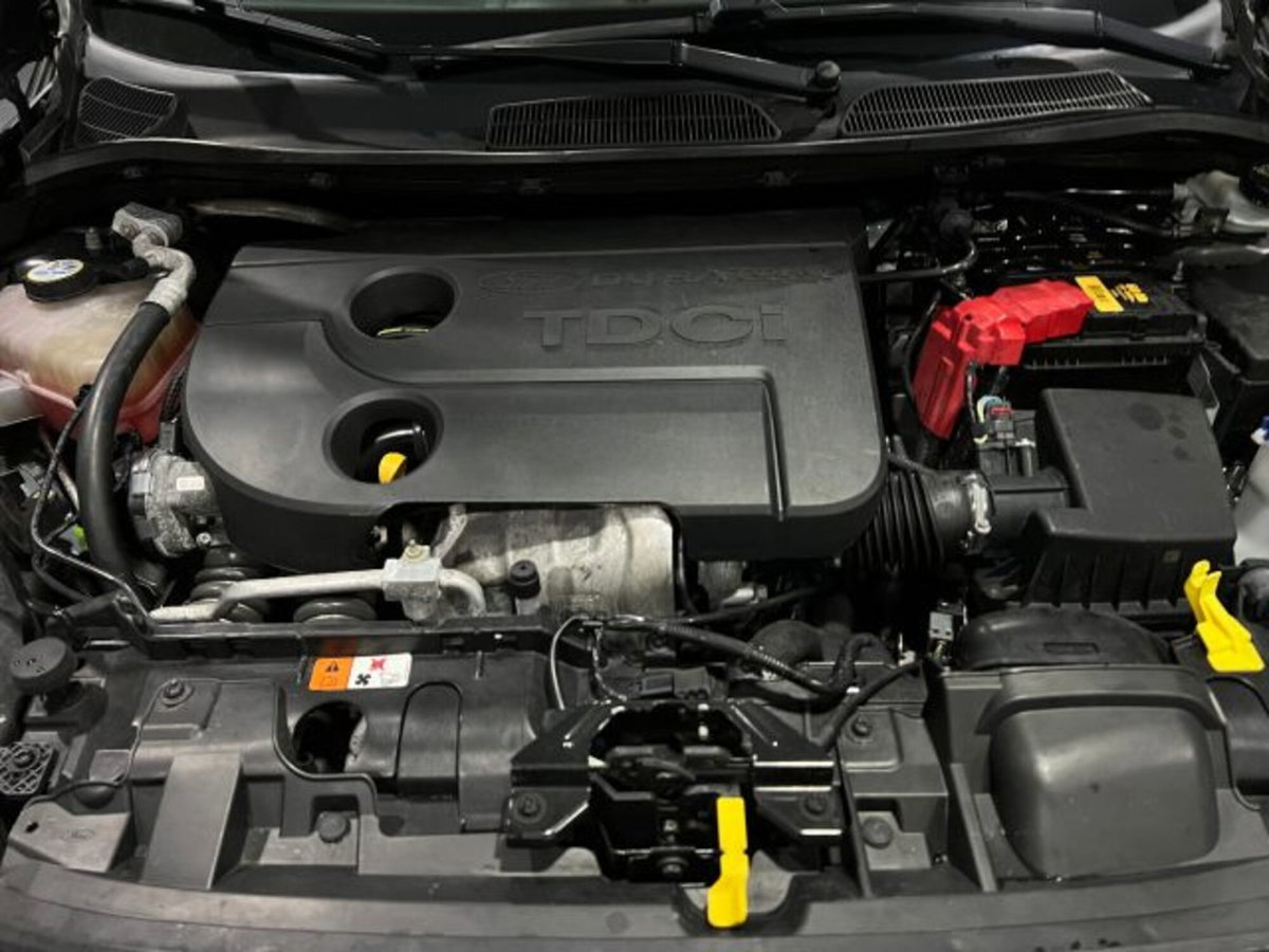 Ford Fiesta 1.6 TDCi 95 CV 5p. Titanium (14)