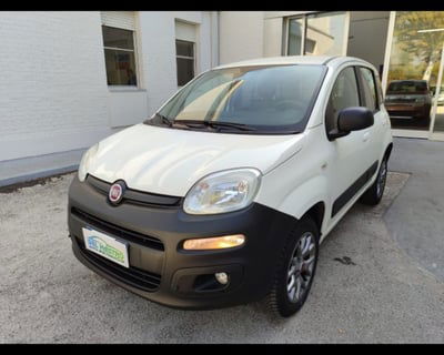 Fiat Panda 1.3 MJT 4x4 Pop Van 2 posti usata