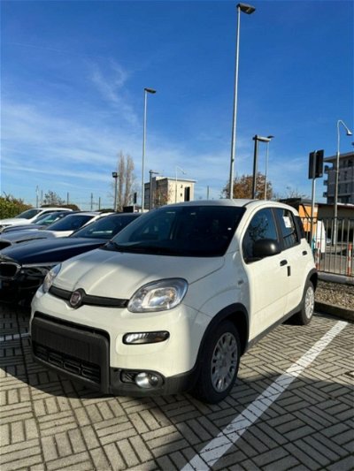 Fiat Panda 1.0 S&S Hybrid Van 2 posti nuova