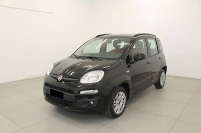 Fiat Panda 1.2 Lounge  usata