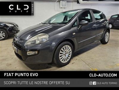 Fiat Punto Evo 1.3 Mjt 75 CV 5 porte Active my 09 usata