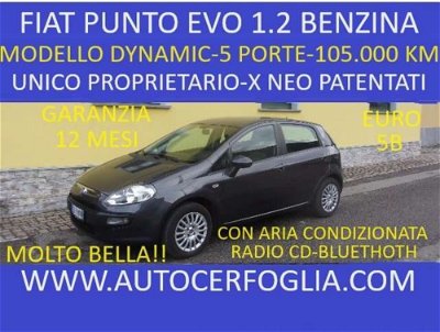 Fiat Punto Evo 1.2 5 porte Dynamic usata