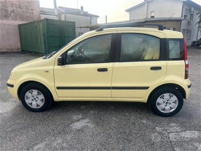 Fiat Panda 1.2 Dynamic  usata