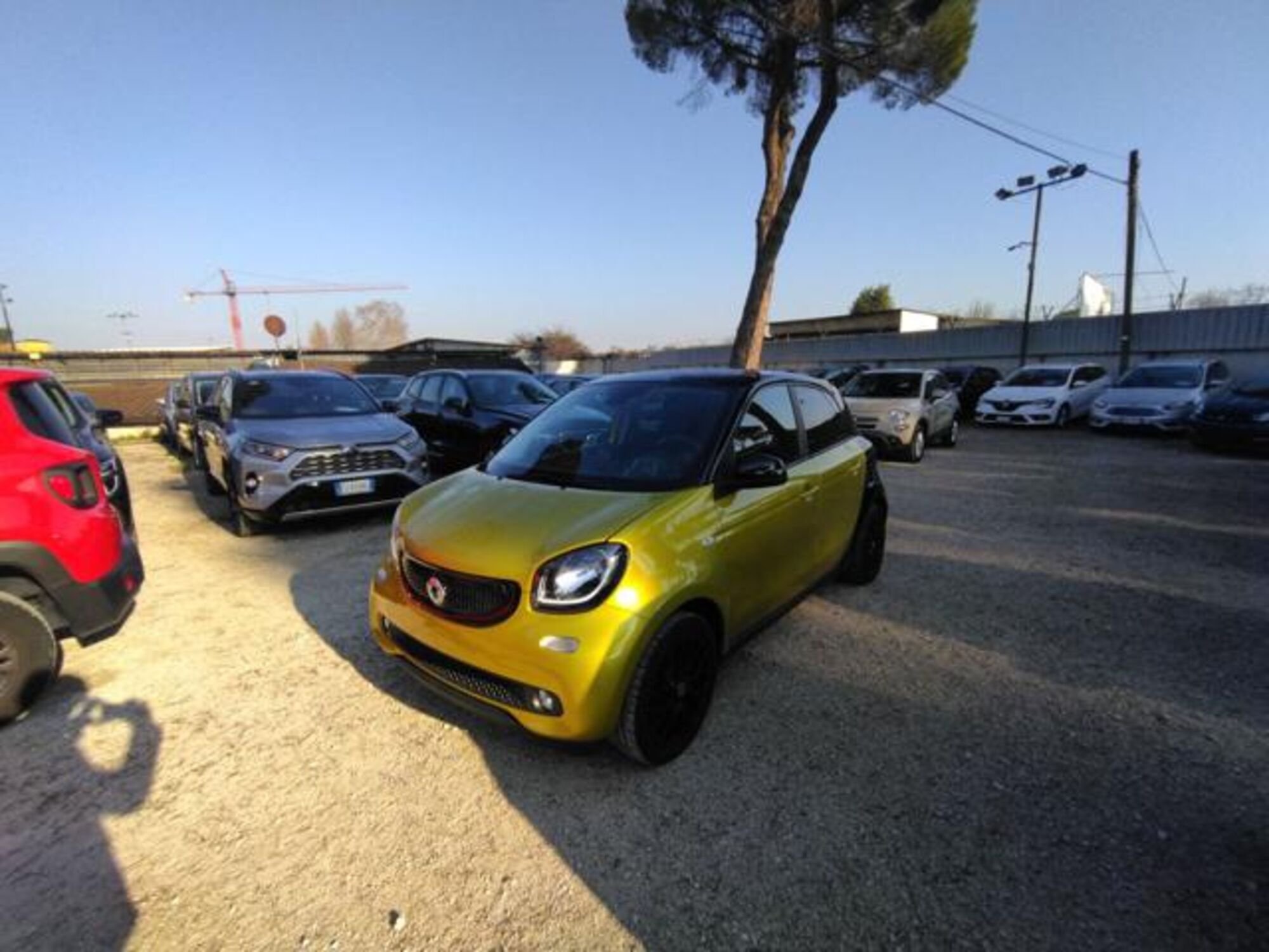 smart forfour forfour 90 0.9 Turbo Youngster 