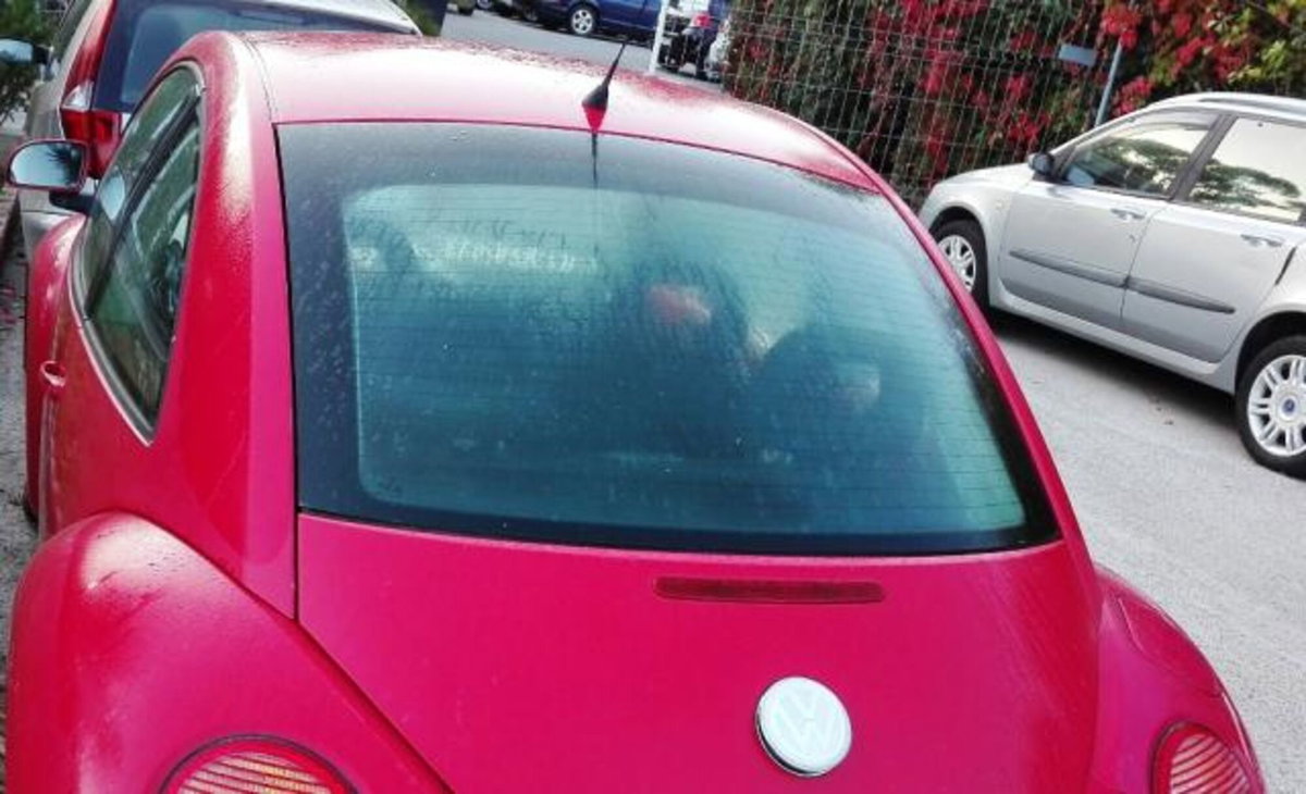 Volkswagen New Beetle TDI (3)