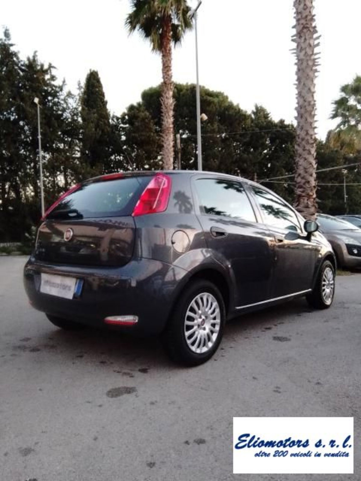 Fiat Punto 1.4 8V 5 porte Easypower Street (5)