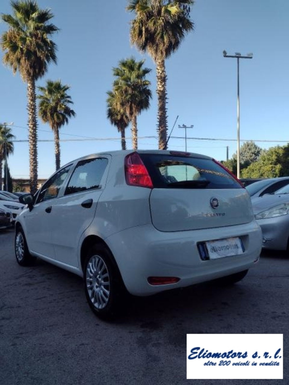 Fiat Punto 1.2 8V 5 porte Street (10)