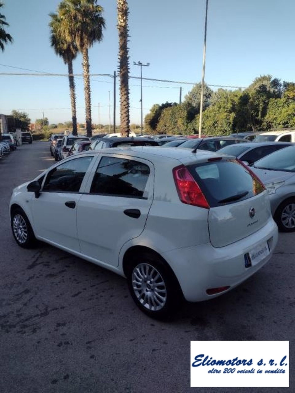 Fiat Punto 1.2 8V 5 porte Street (11)