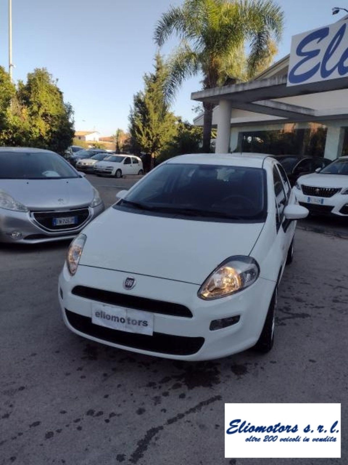 Fiat Punto 1.2 8V 5 porte Street (13)