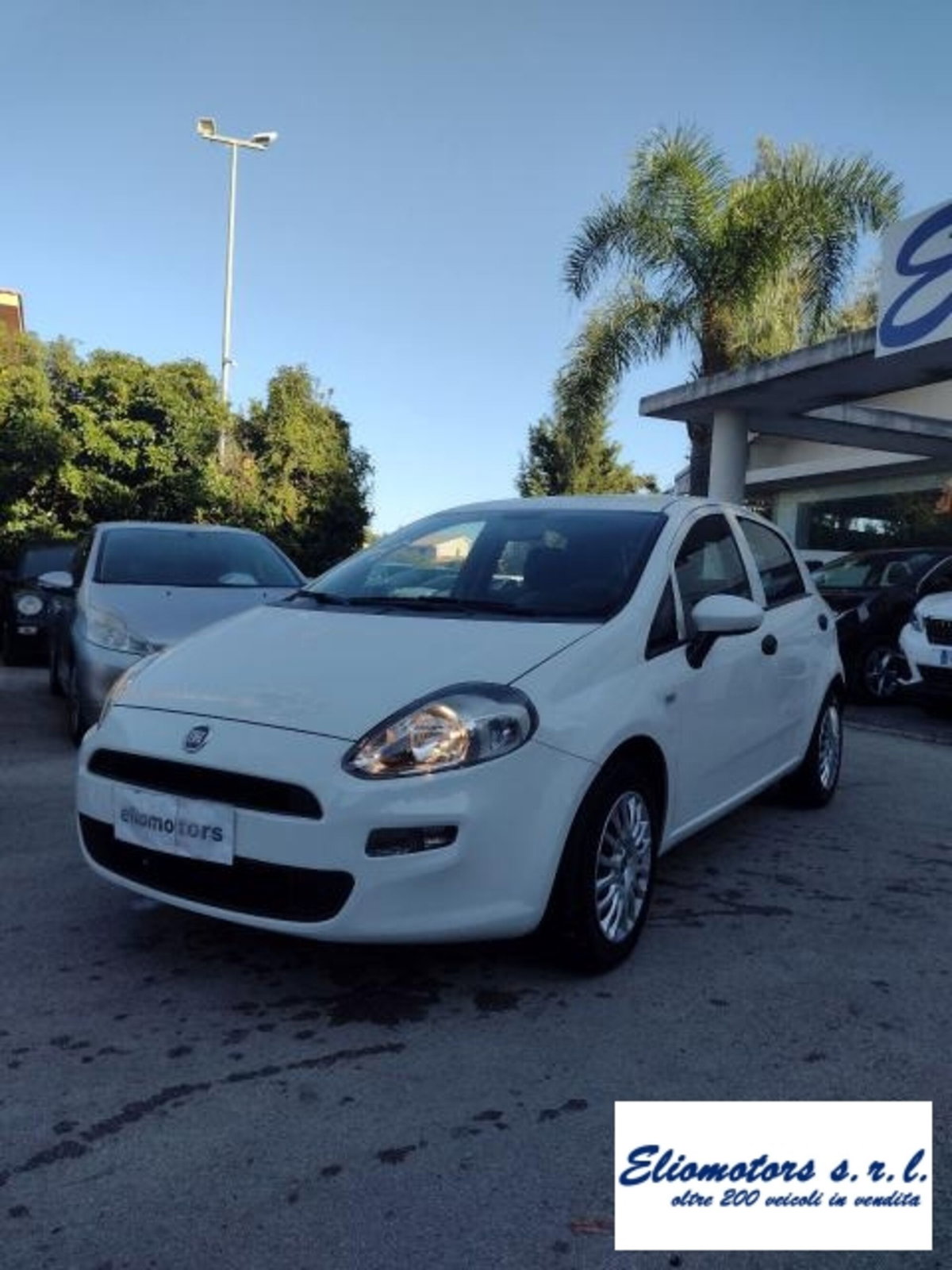 Fiat Punto 1.2 8V 5 porte Street (14)