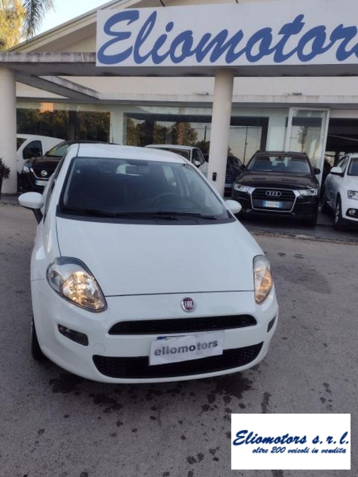 Fiat Punto 1.2 8V 5 porte Street (3)
