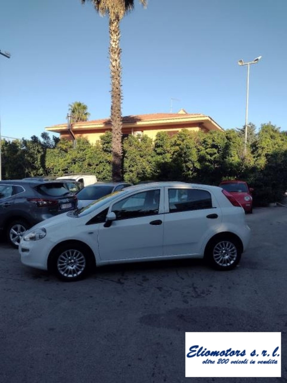 Fiat Punto 1.2 8V 5 porte Street (4)