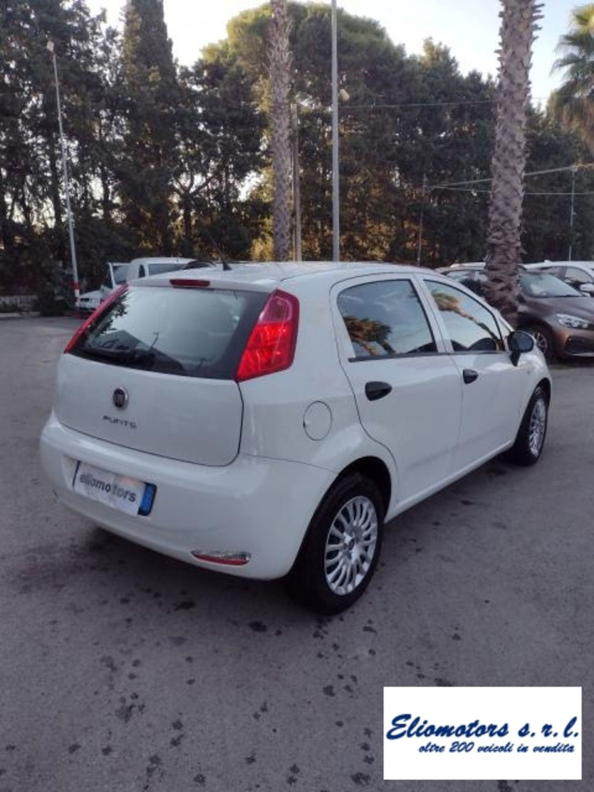 Fiat Punto 1.2 8V 5 porte Street (5)