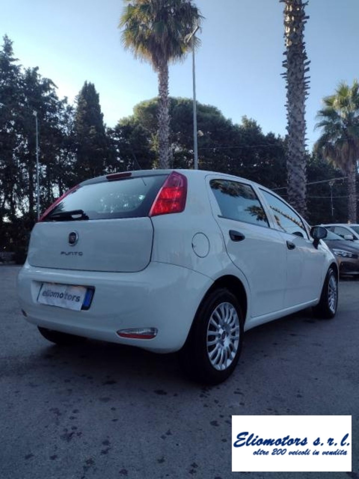 Fiat Punto 1.2 8V 5 porte Street (6)
