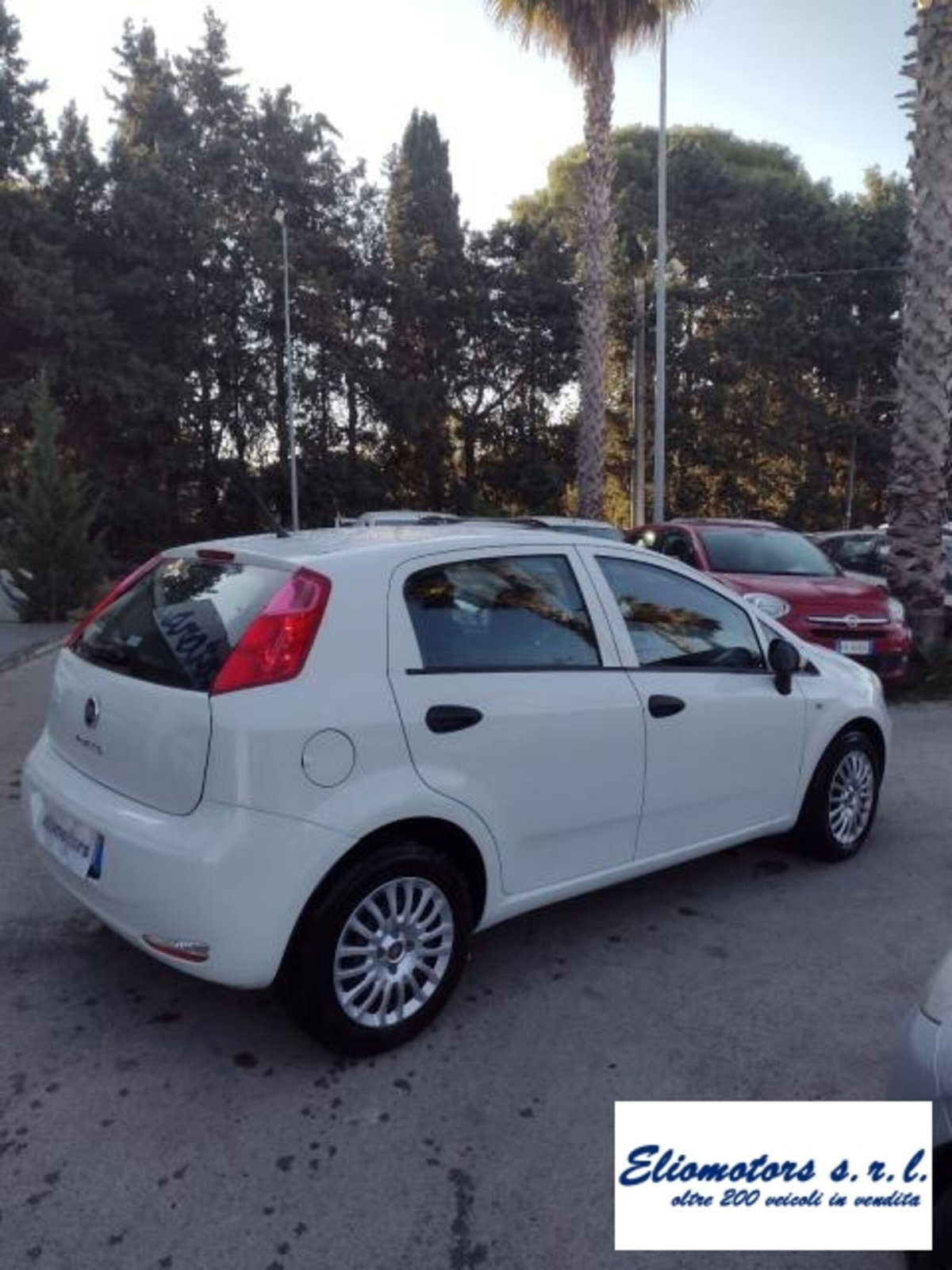 Fiat Punto 1.2 8V 5 porte Street (7)