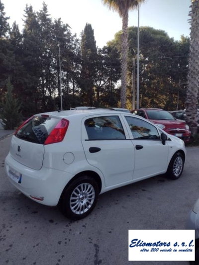 Fiat Punto 1.2 8V 5 porte Street (7)