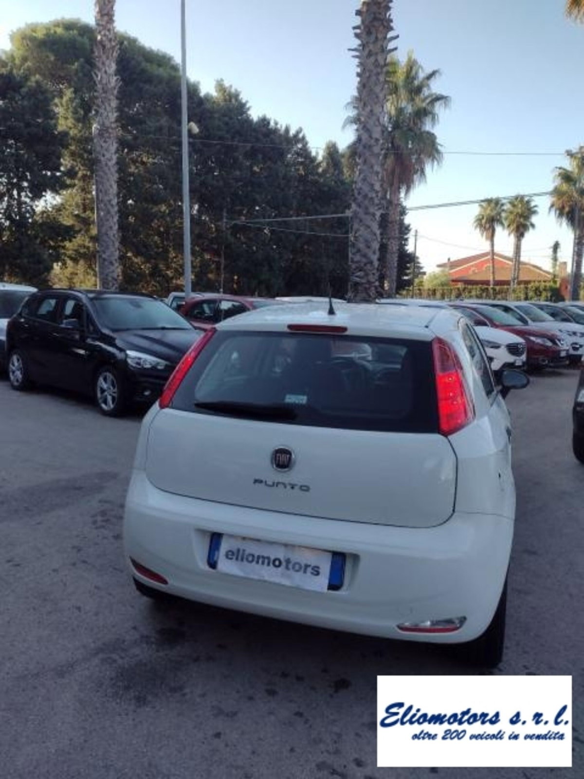 Fiat Punto 1.2 8V 5 porte Street (8)