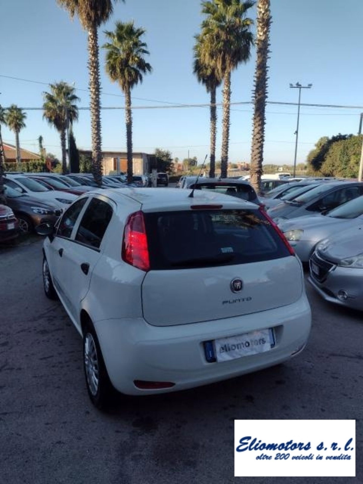 Fiat Punto 1.2 8V 5 porte Street (9)
