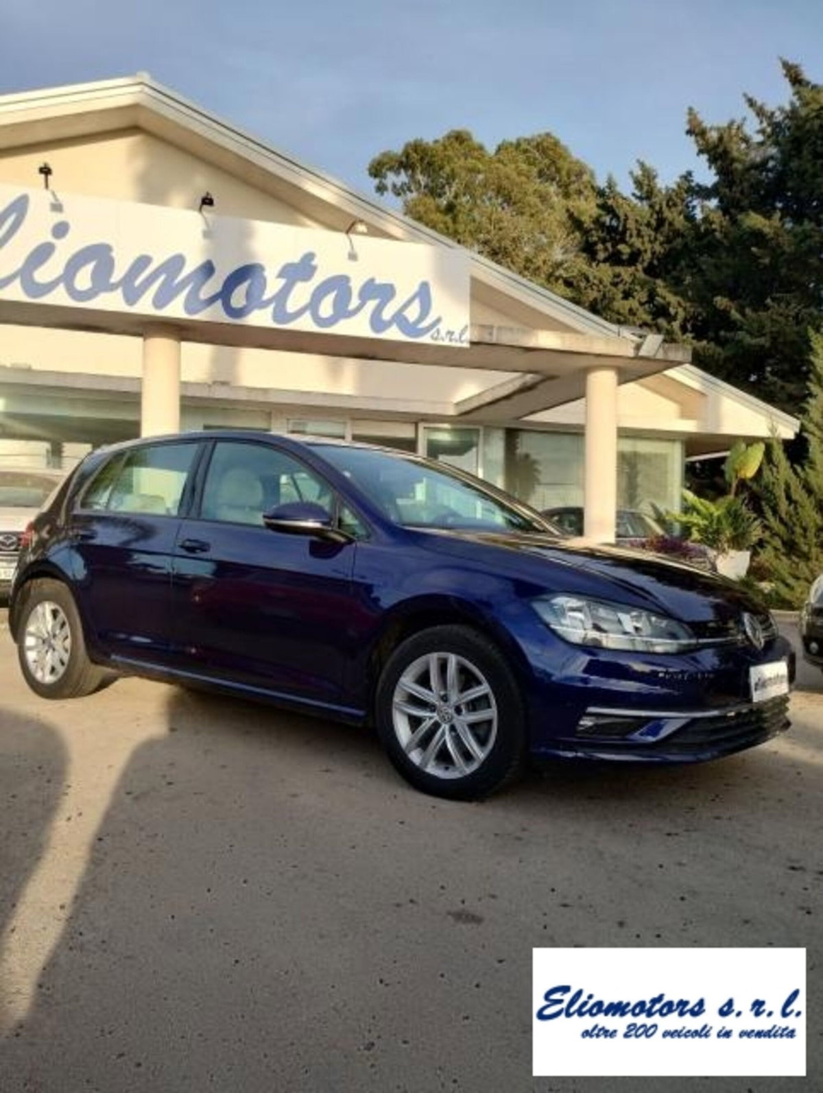 Volkswagen Golf 1.6 TDI 115 CV 5p. Business BlueMotion Technology (7)