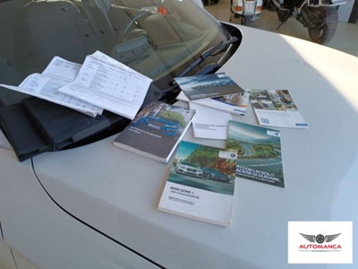 BMW Serie 1 116d 5p. Sport (19)
