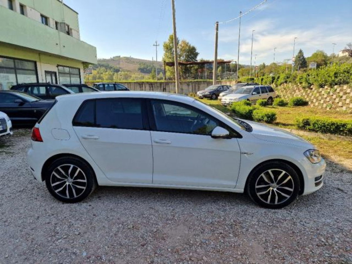 Volkswagen Golf 1.4 TGI 5p. Highline BlueMotion (11)