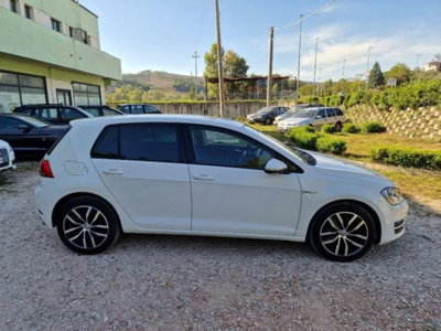 Volkswagen Golf 1.4 TGI 5p. Highline BlueMotion (11)