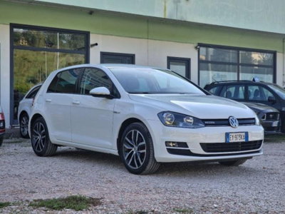 Volkswagen Golf 1.4 TGI 5p. Highline BlueMotion (13)
