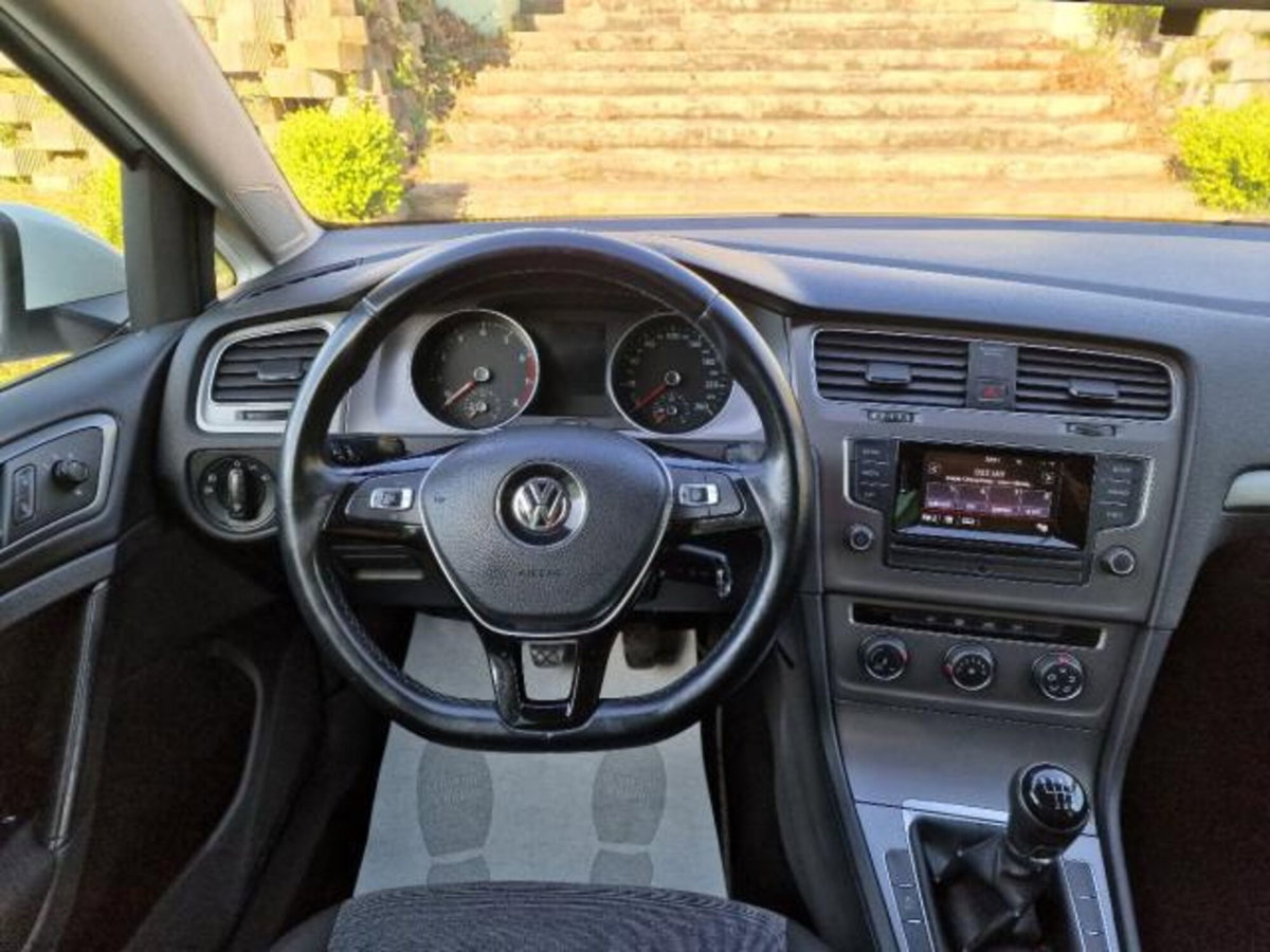 Volkswagen Golf 1.4 TGI 5p. Highline BlueMotion (16)