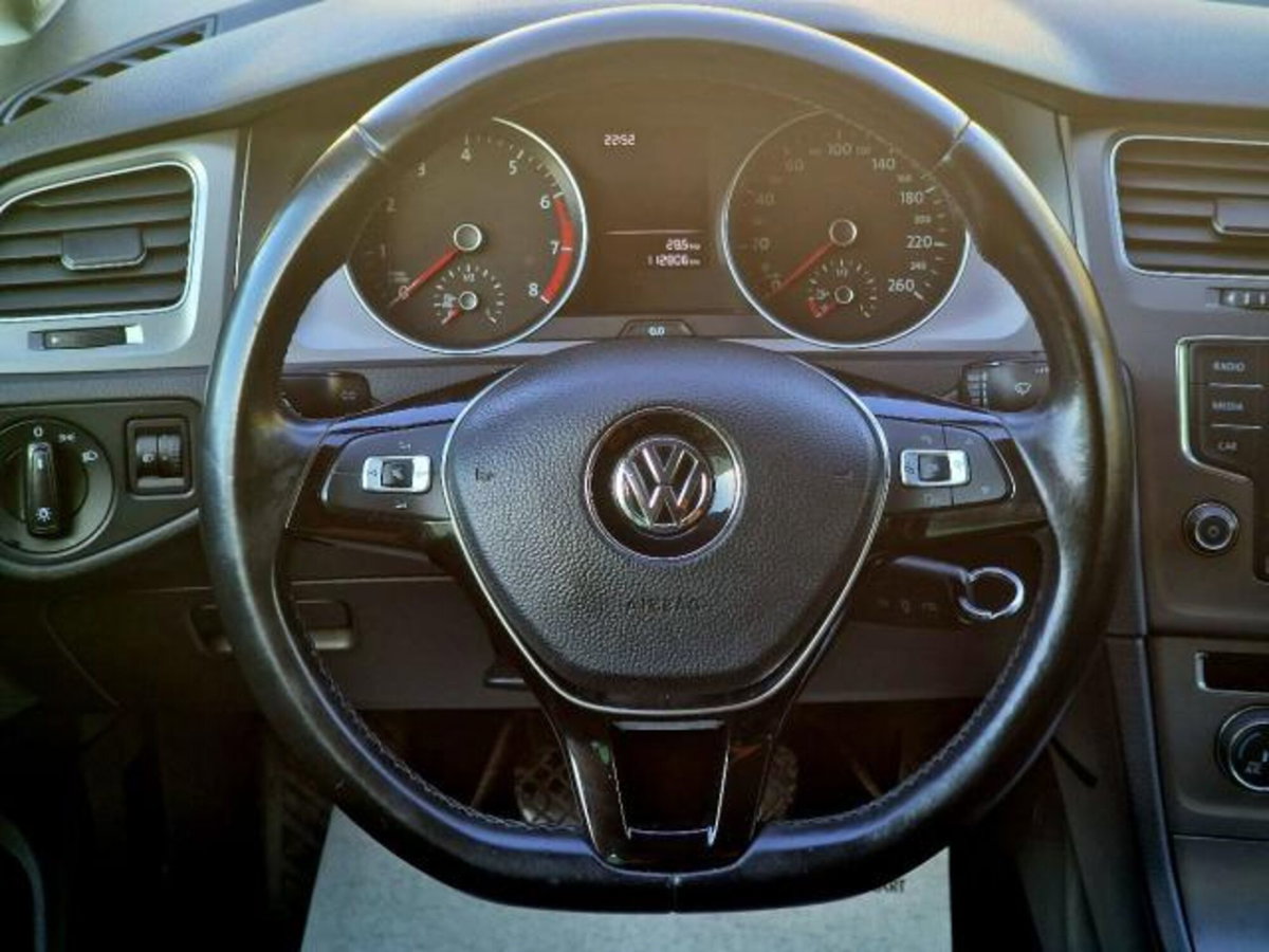 Volkswagen Golf 1.4 TGI 5p. Highline BlueMotion (17)