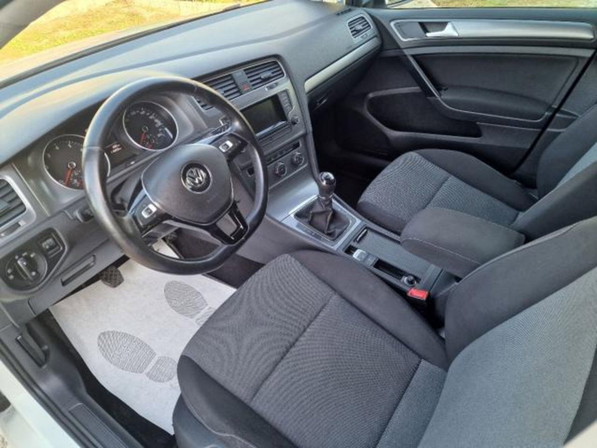 Volkswagen Golf 1.4 TGI 5p. Highline BlueMotion (18)