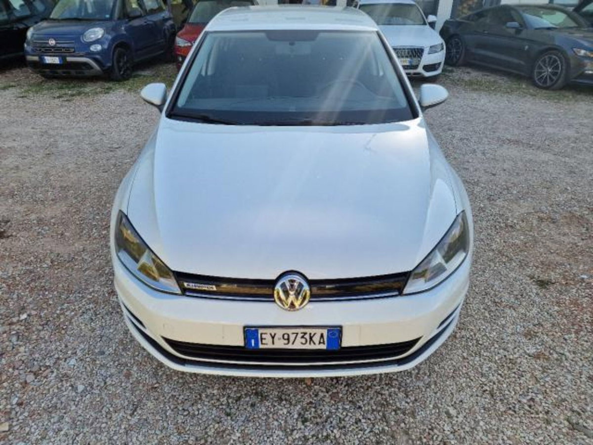 Volkswagen Golf 1.4 TGI 5p. Highline BlueMotion (2)