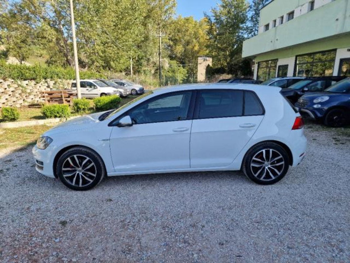 Volkswagen Golf 1.4 TGI 5p. Highline BlueMotion (6)