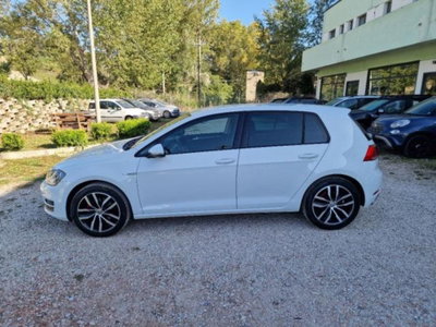 Volkswagen Golf 1.4 TGI 5p. Highline BlueMotion (6)