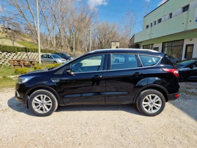 Ford Kuga 2.0 TDCI 120 CV S&S 2WD Powershift Business (5)