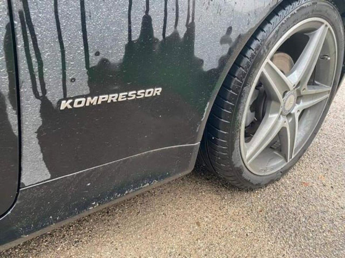 Mercedes-Benz SLK 200 Kompressor cat (9)