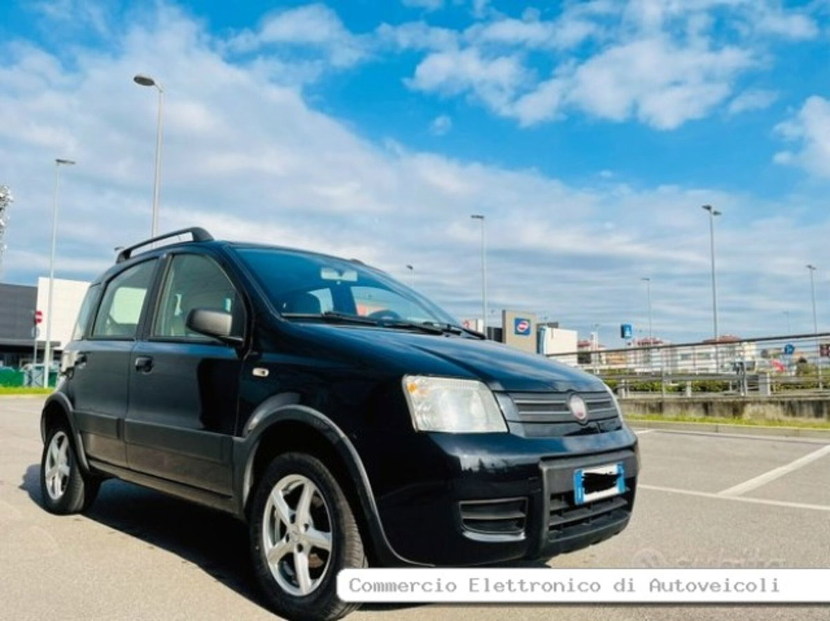 Fiat Panda 1.2 Climbing Natural Power (3)